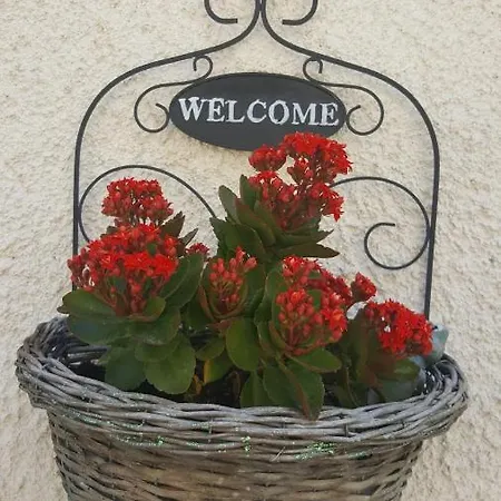 Bed & Breakfast In Sabina