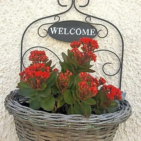 In Sabina Bed and breakfast