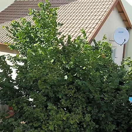 Bed & Breakfast In Sabina 4*