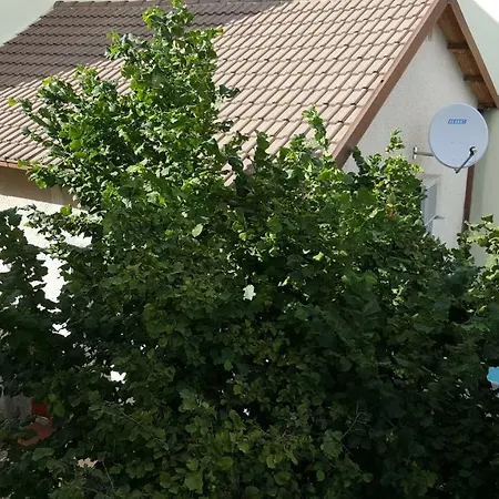 In Sabina Poggio Nativo