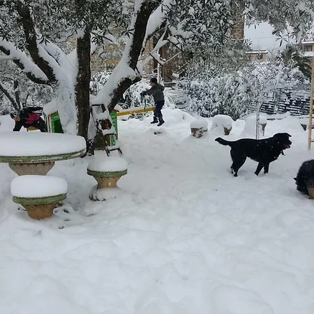 Bed & Breakfast In Sabina Poggio Nativo